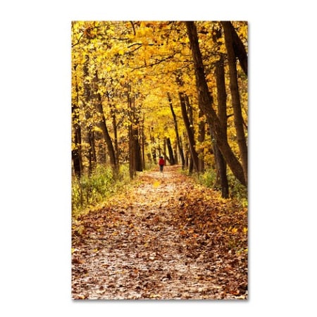 Kurt Shaffer 'Golden Autumn Walk' Canvas Art,12x19